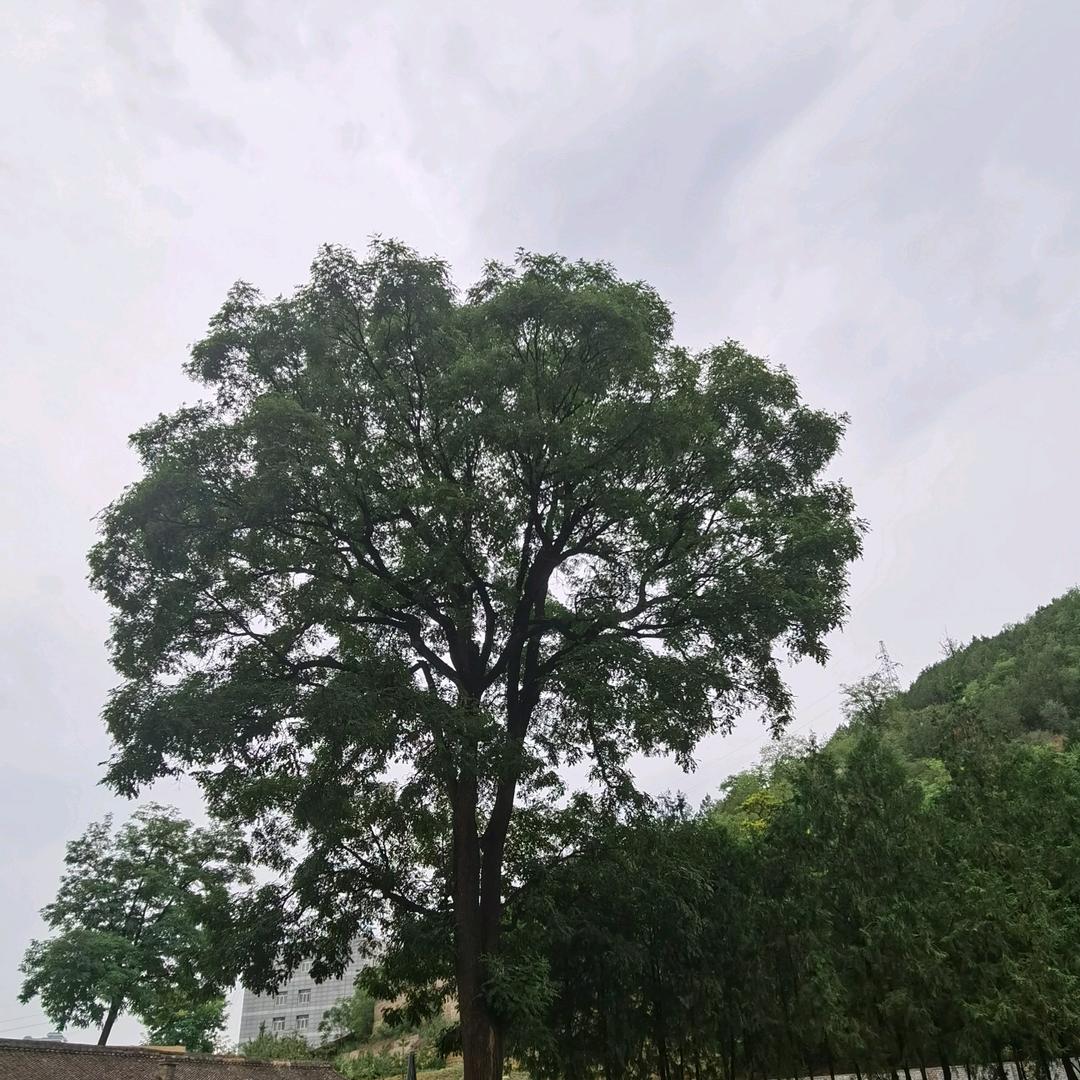 一路狂飙