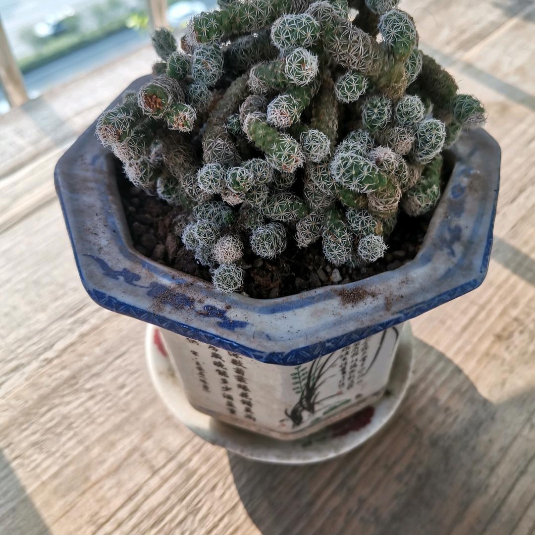 牧歌