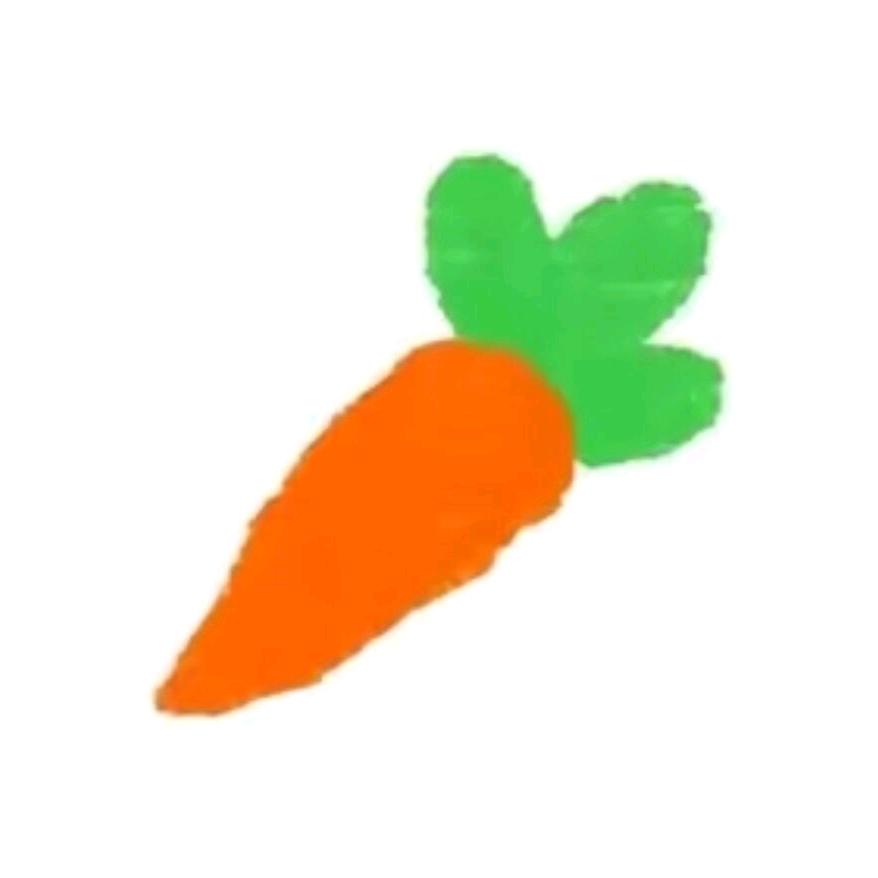 讨厌胡萝卜🥕