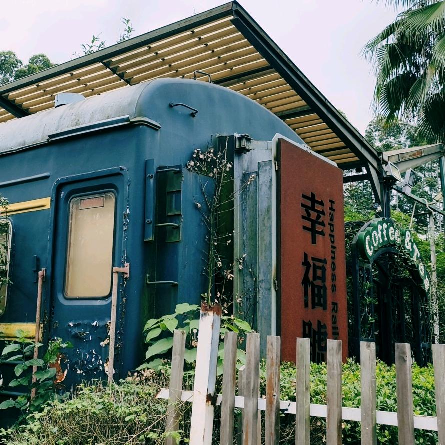 仪宝（晚上9.30）