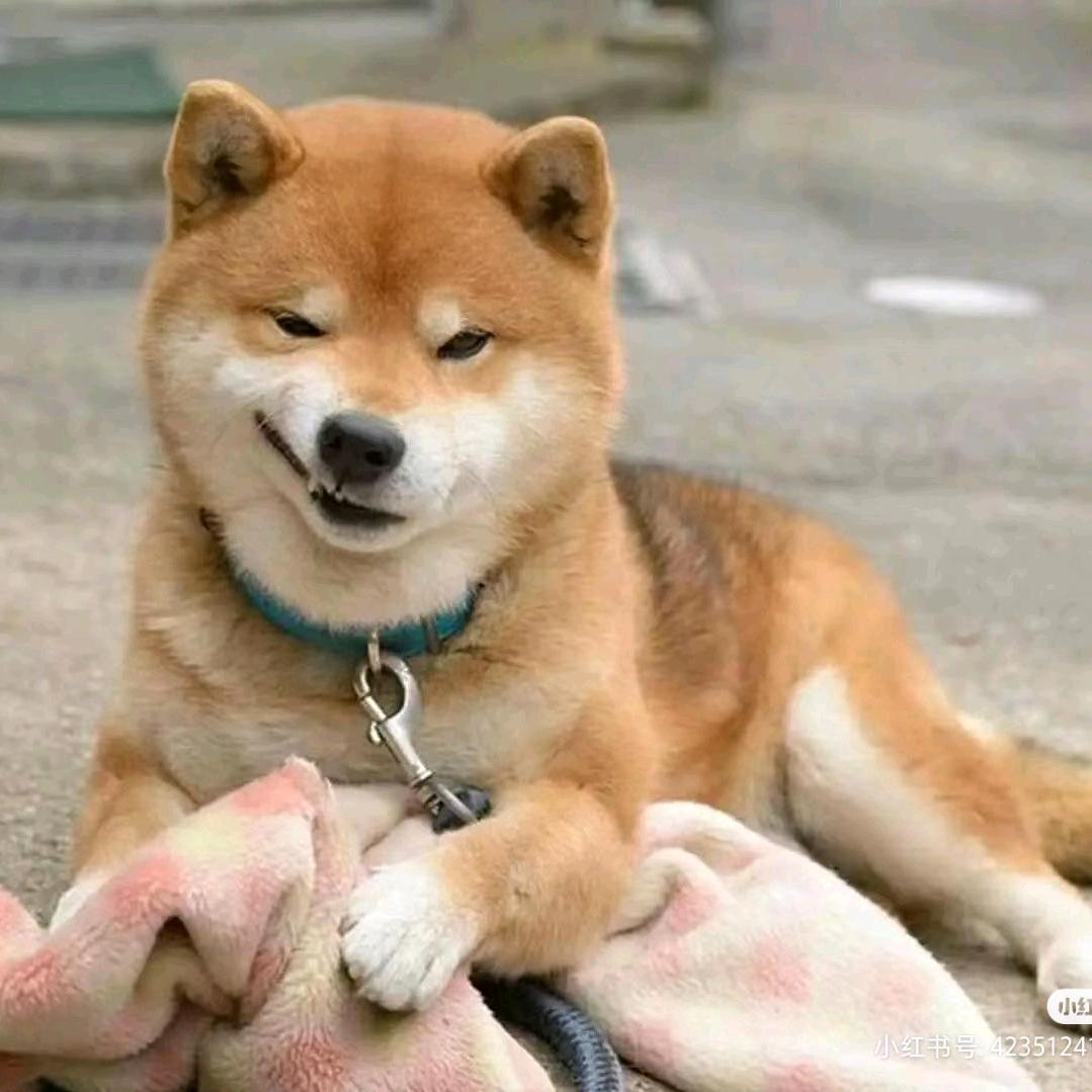 阿阳学长