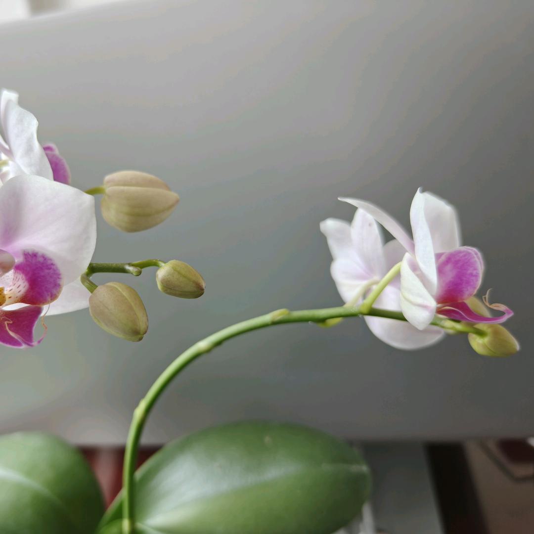 今天，你好呀！