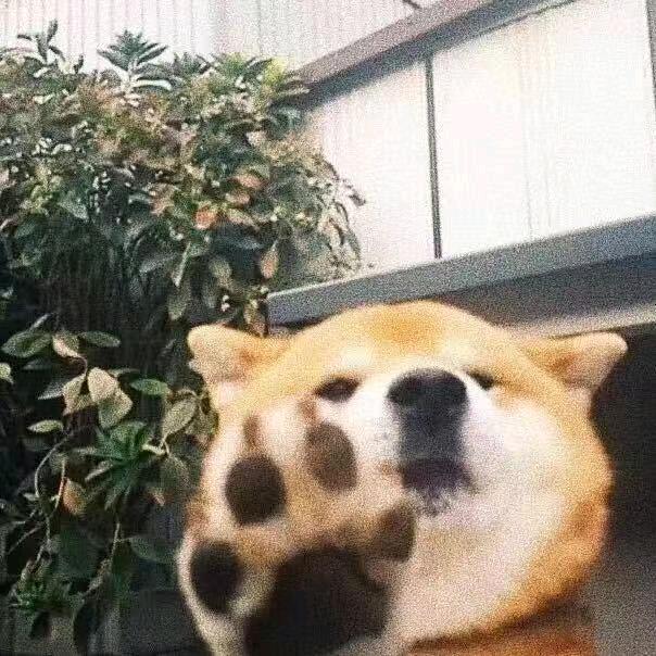 杨铮