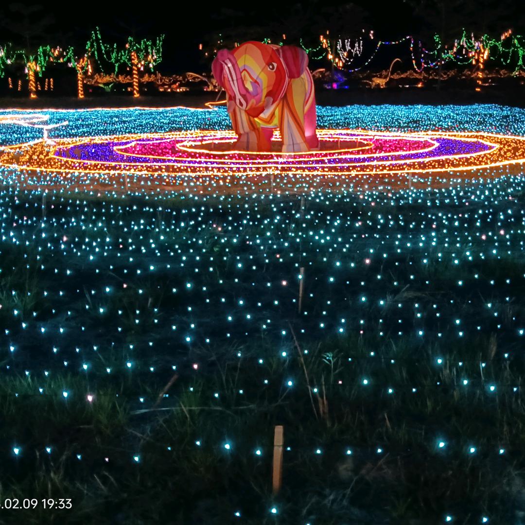 🥀এ᭄淡若 ꦿ如初 ོ࿐ᩚ