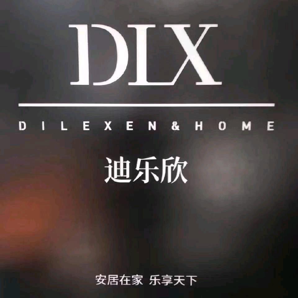 宁南迪乐欣家具商业街十字路口