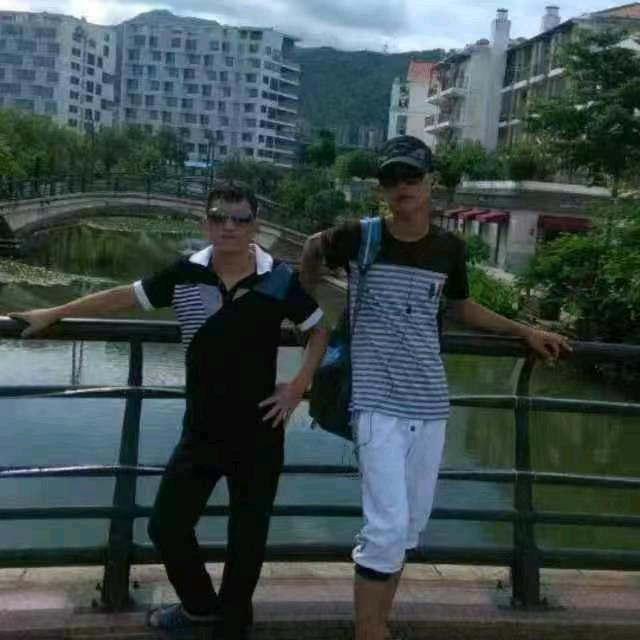 龙飞风舞