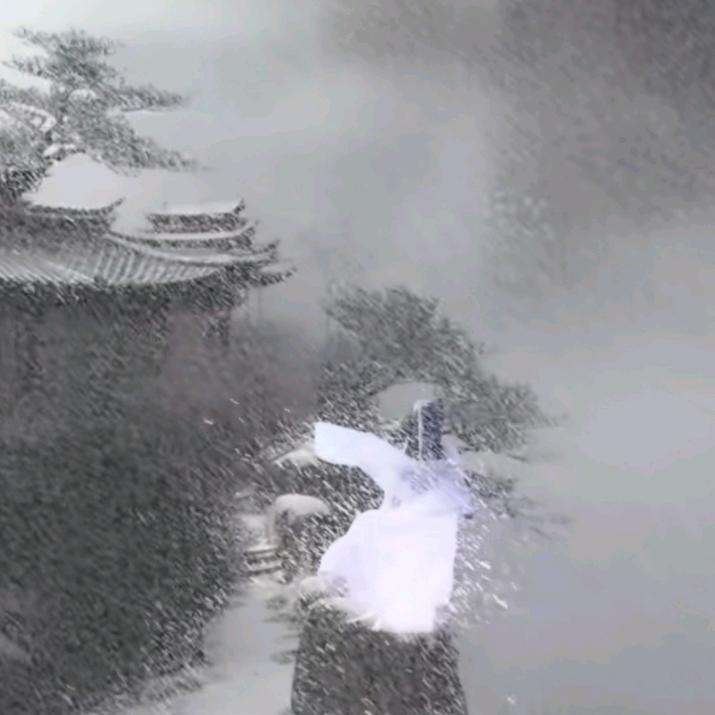 漫天飞雪