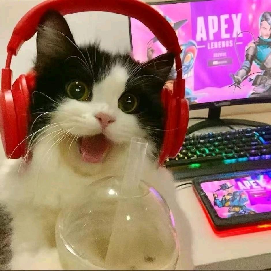 Espoir•Apex