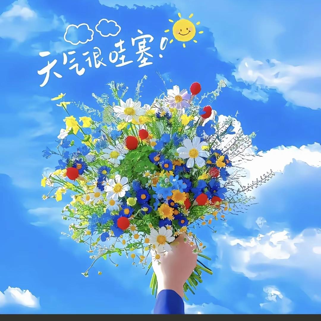 琪乐