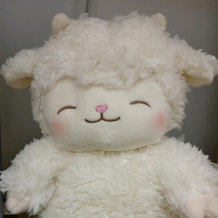 秋海棠在外滩打太极