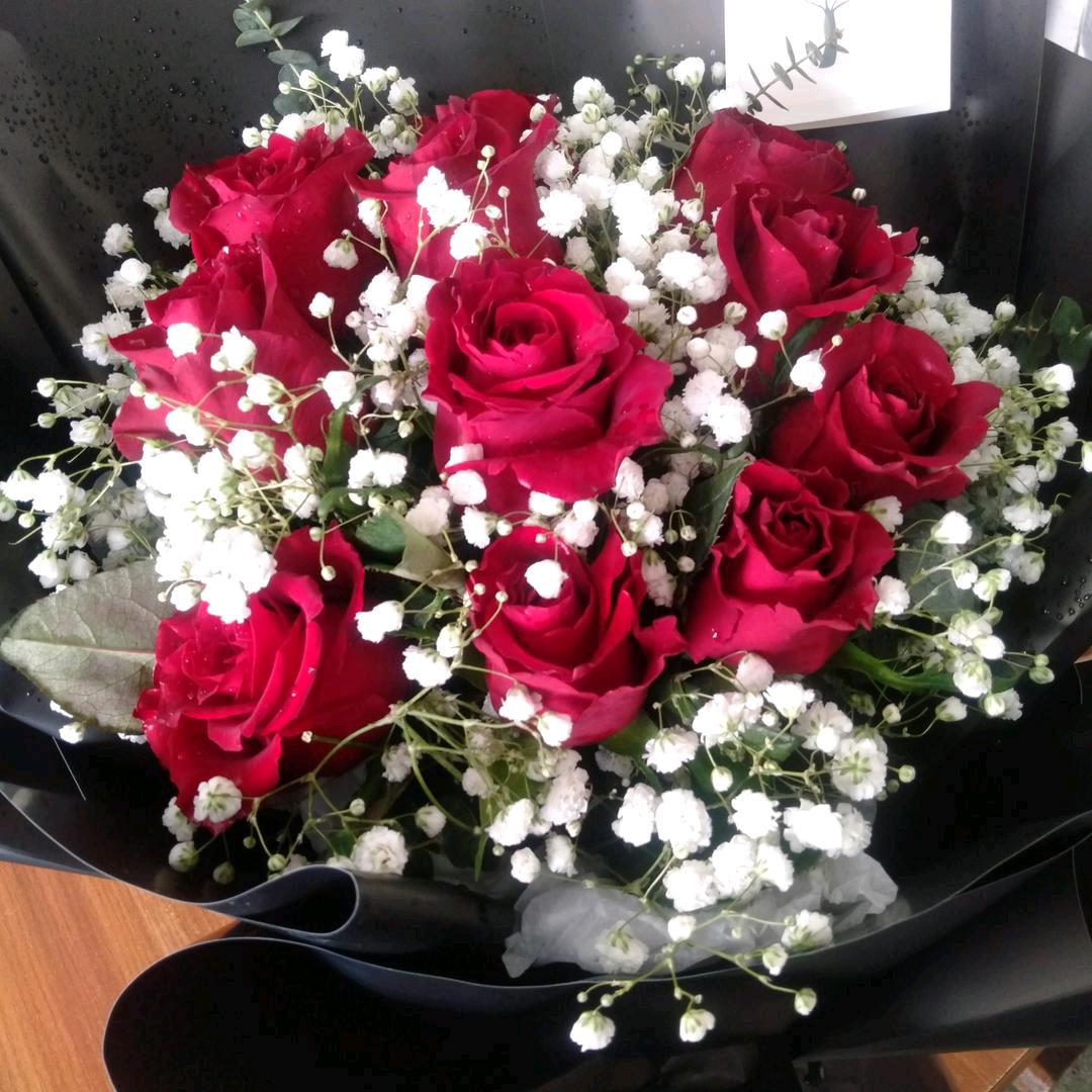 暖暖🌹🌹