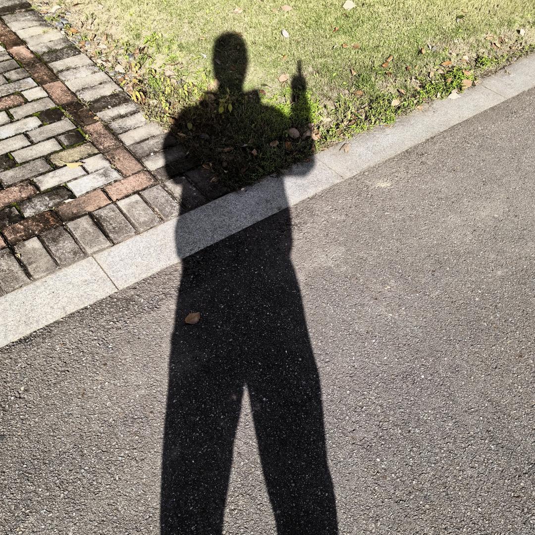 爱吃汉堡🍔的香菜🇨🇳🇨🇳