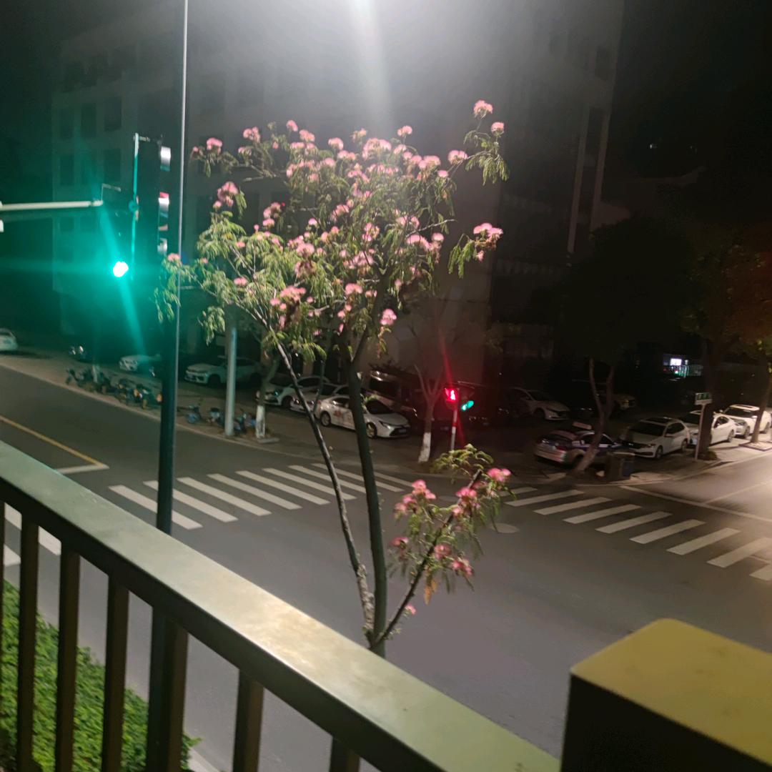 三里清风喜欢