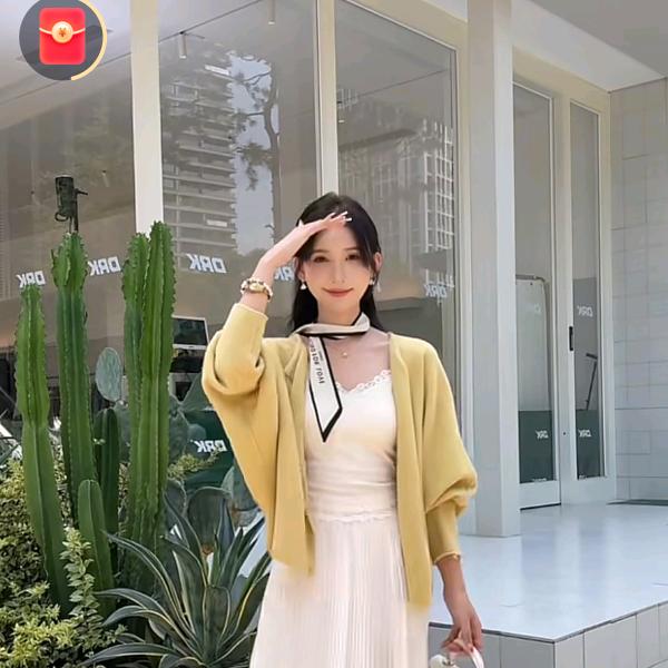 一只烧鹅仔-云裳小记