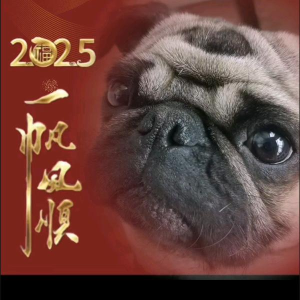 胜者为王
