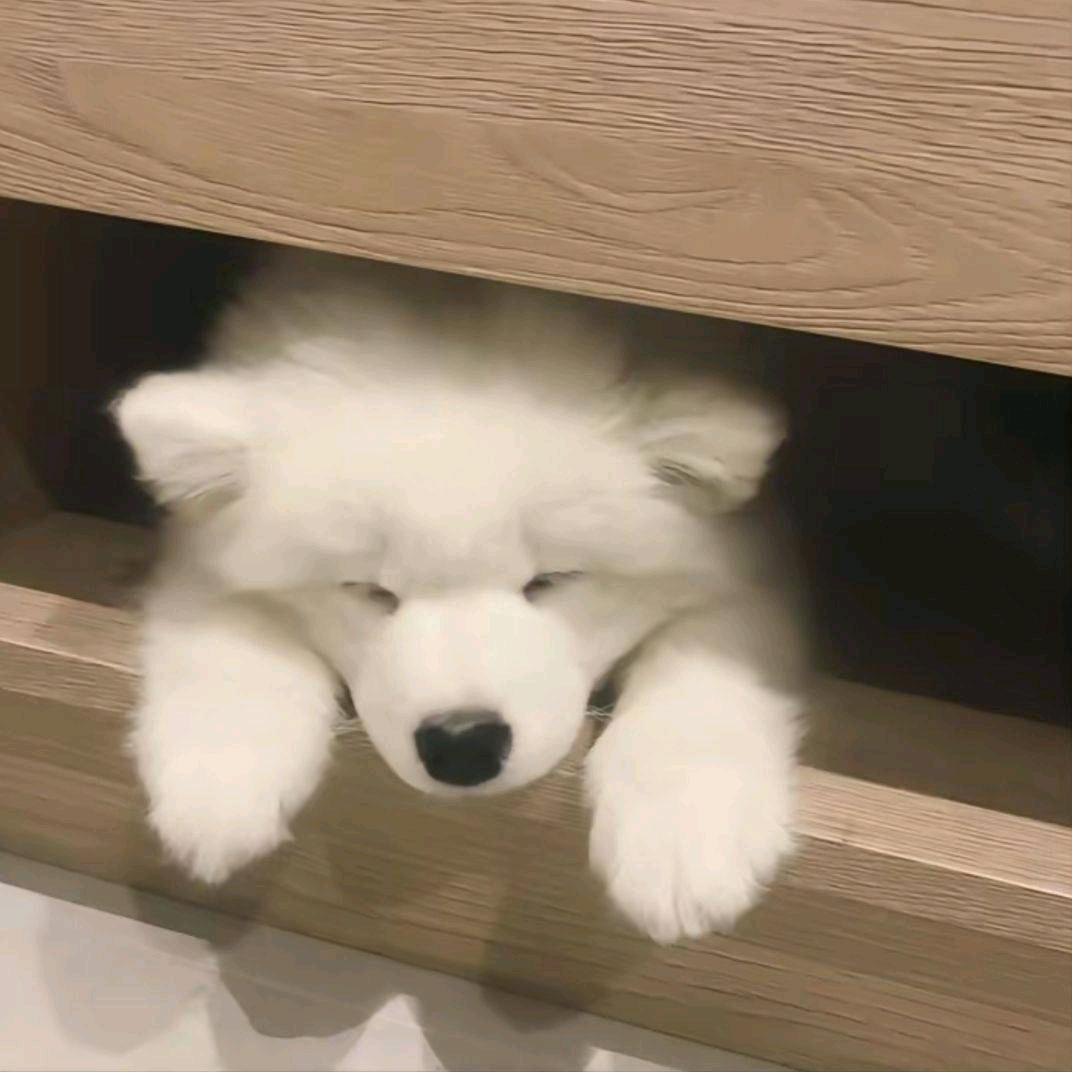 lkuiiii