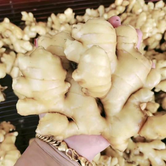 霞姐～（代收苗山小黄姜）