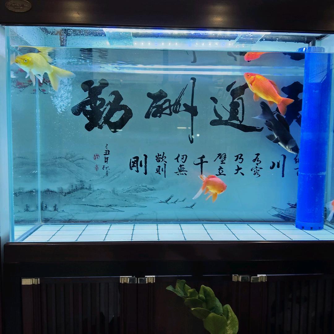 @三哥