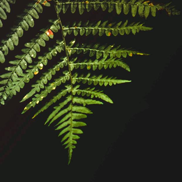 往事随风🌿