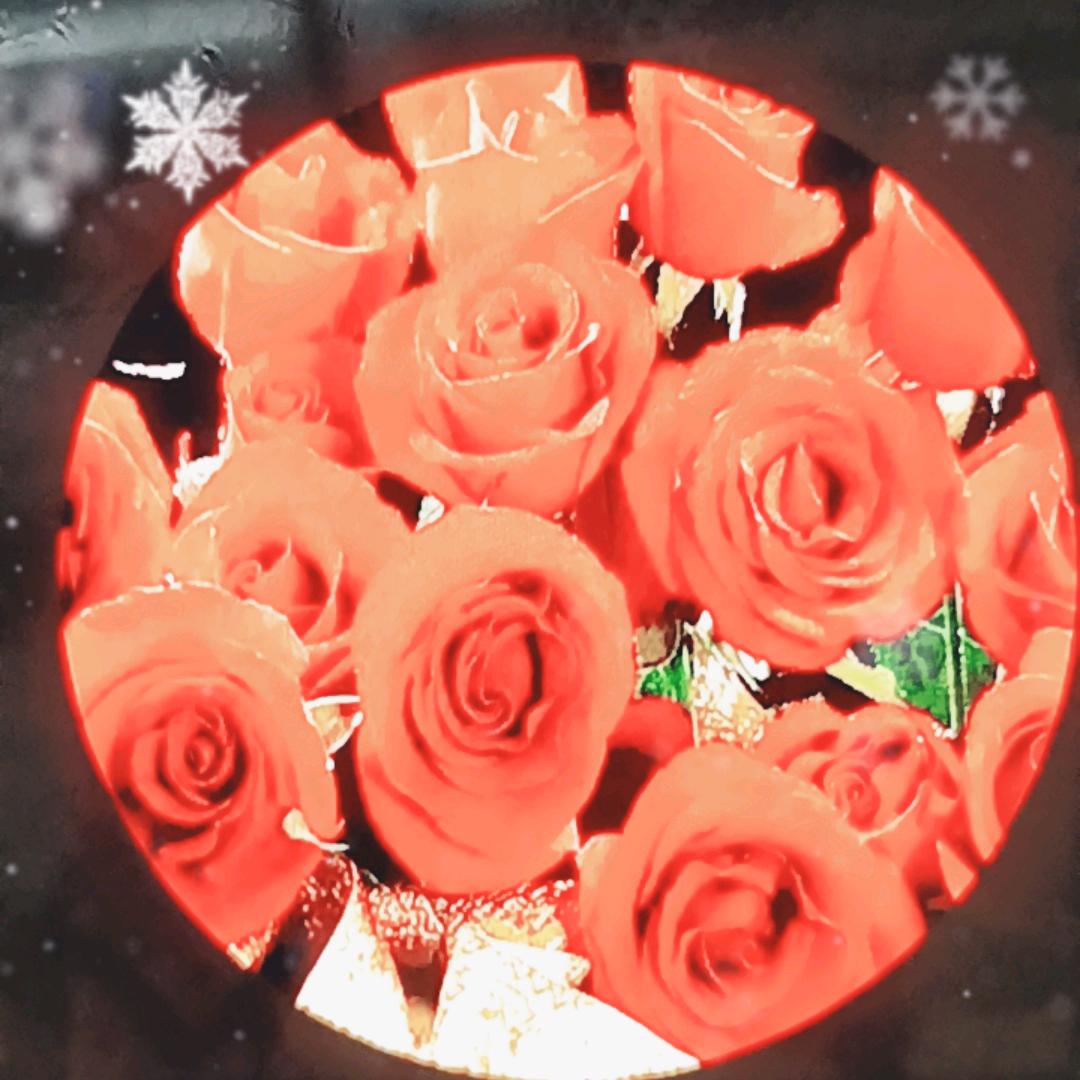 不拽不爱，萍海梅贵