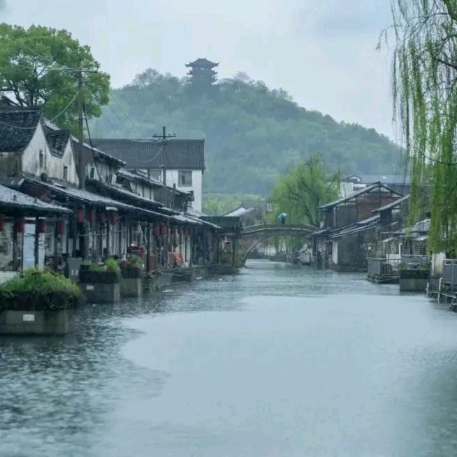 江南城