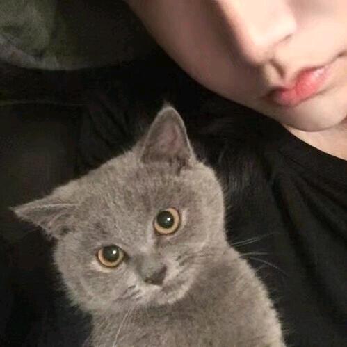 一直跑到太阳落山