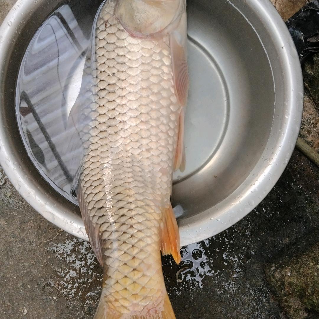 人生