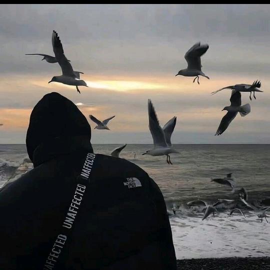 ꫛ᭄烟酒疗💞心殇ꦿ້໌ᮨ࿐