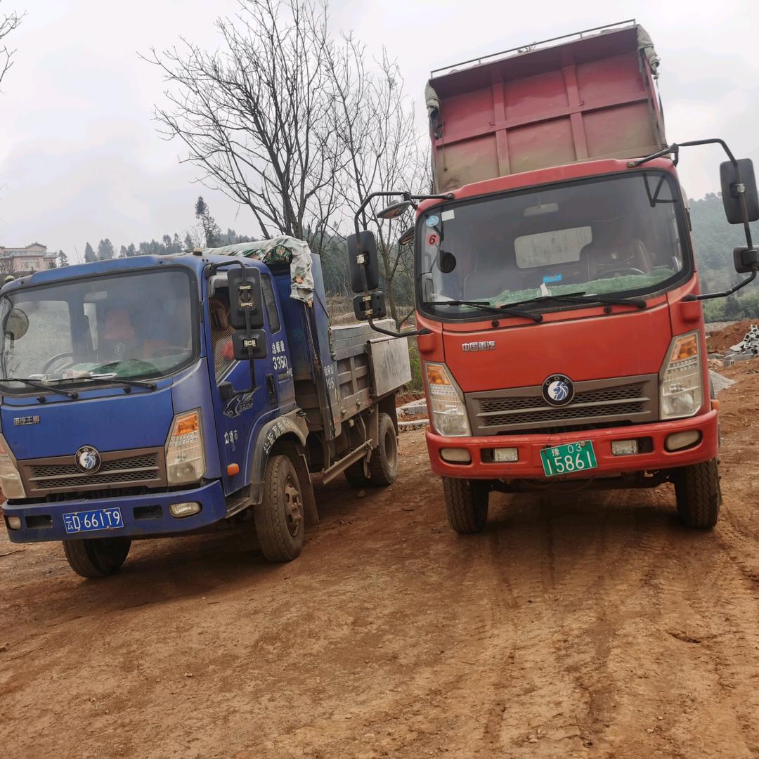 陶汝旭 正宗宝山土猪鲜肉店
