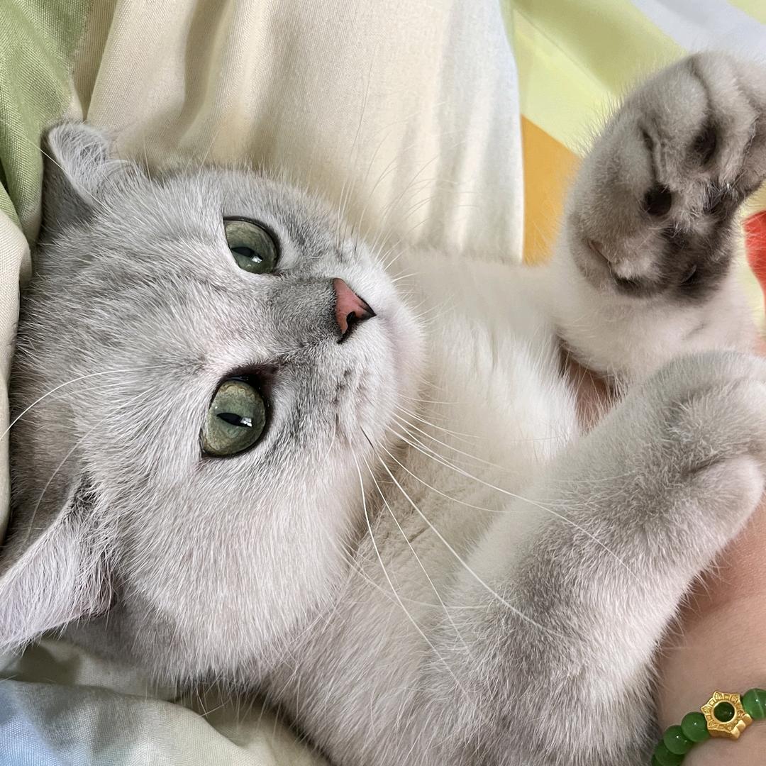 十辰千yu