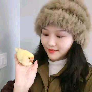 蜀山小鸡