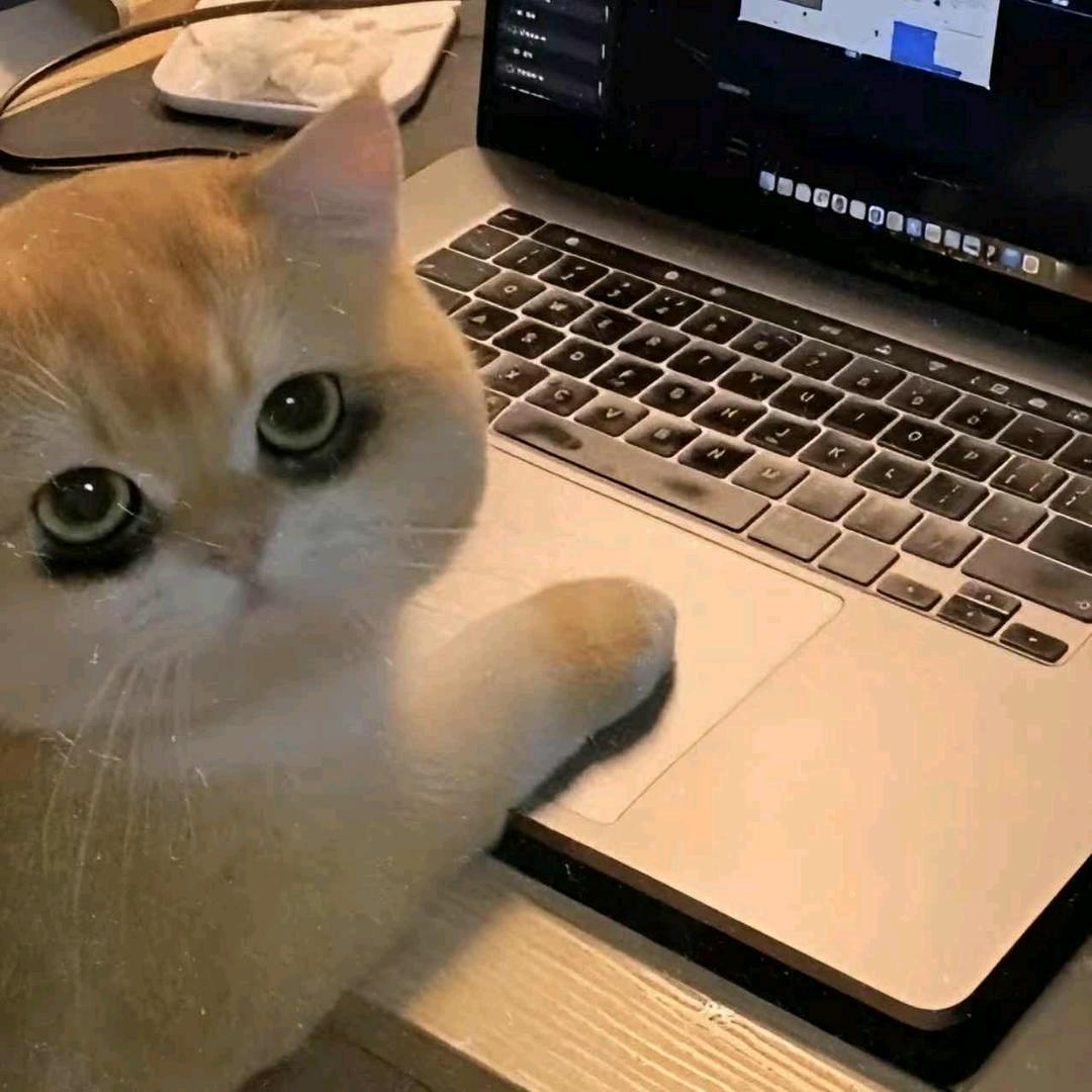 相思