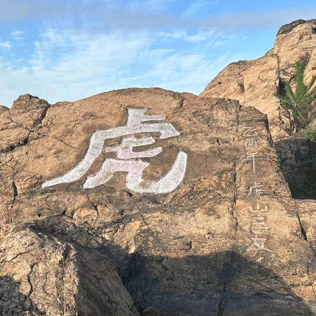 🐯老虎