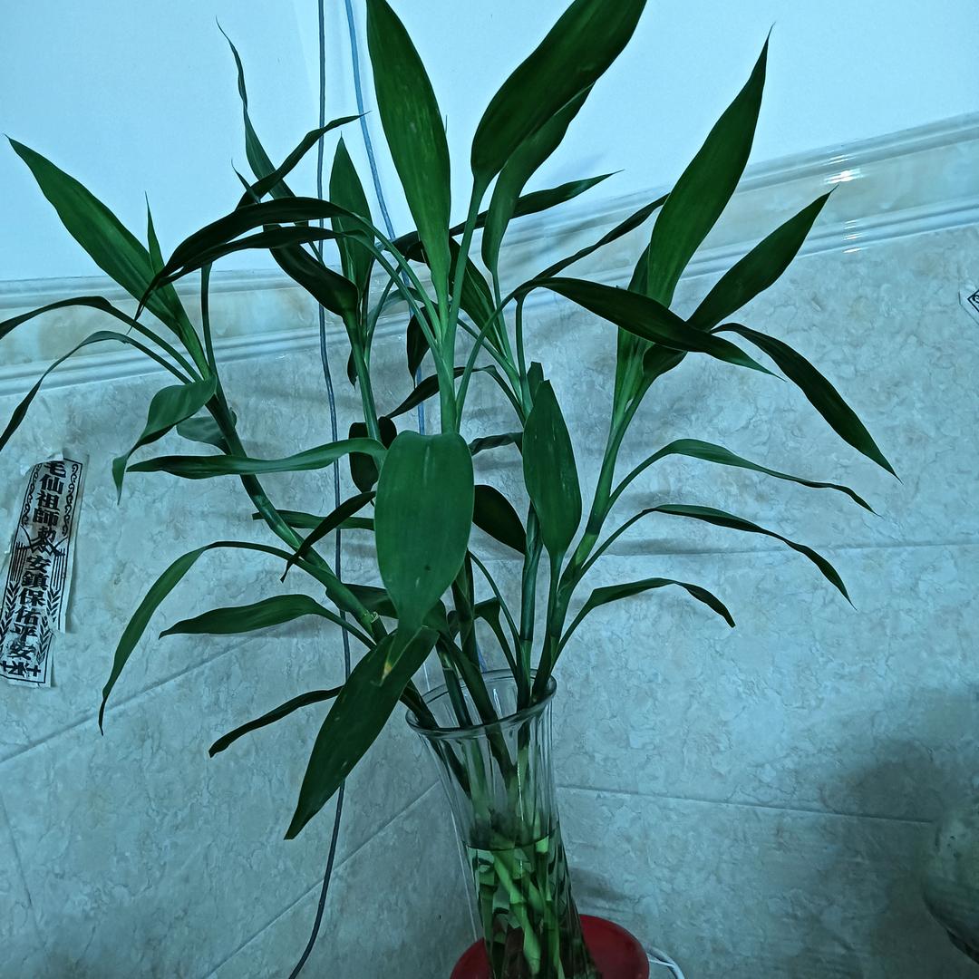 涵妈妈