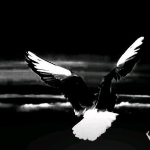 骑着小孩过马路