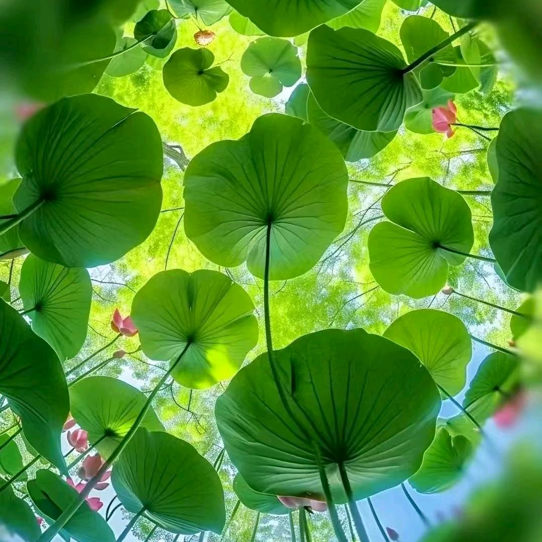 @知足常乐