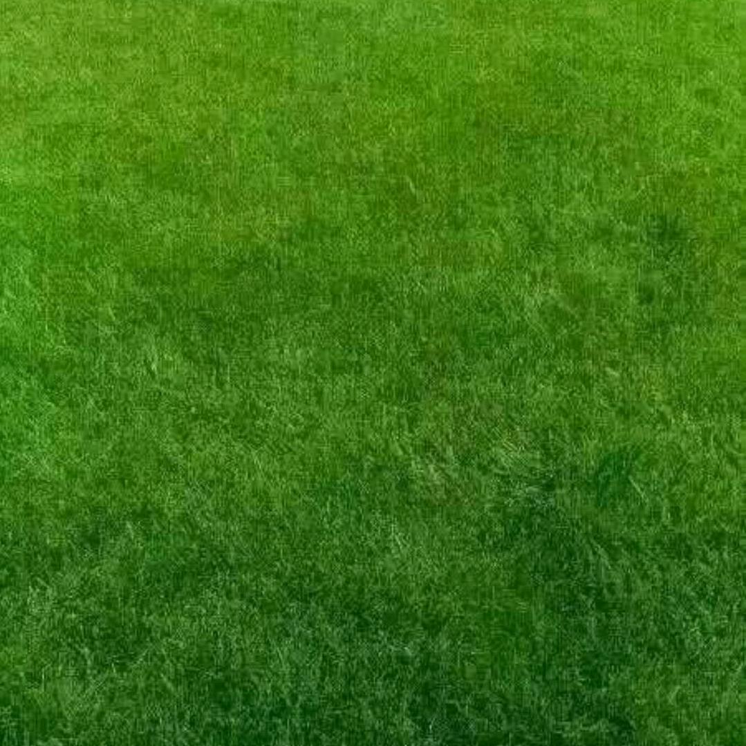 张牧尧