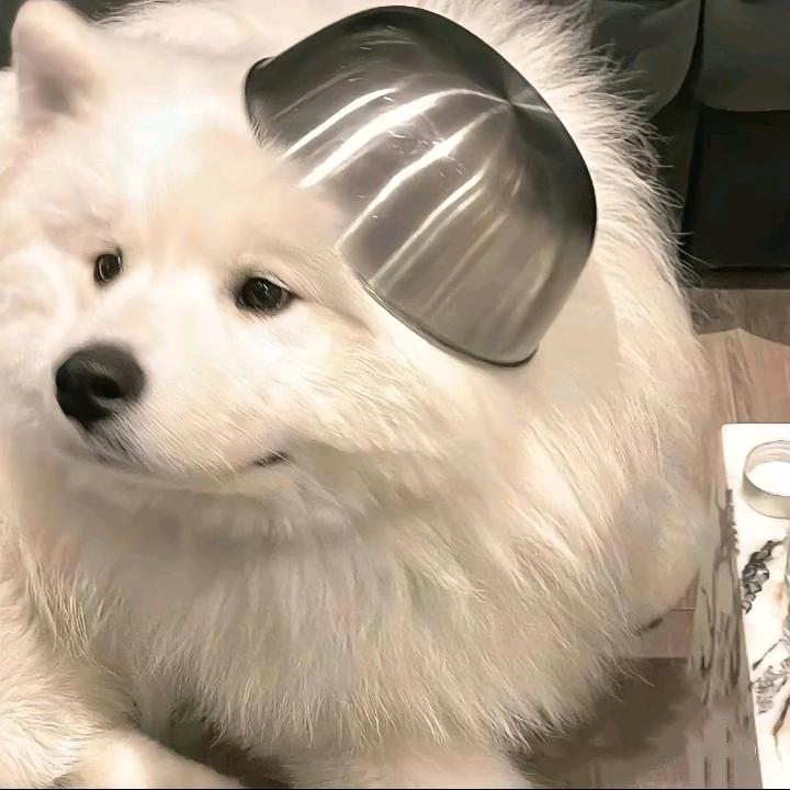 条条大路都致富