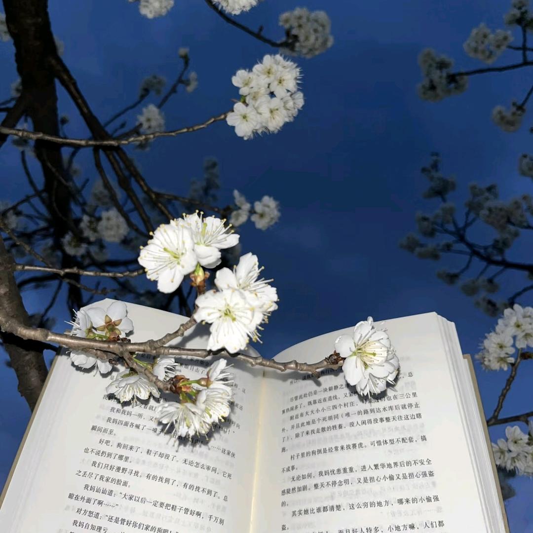 林渊子（三角洲行动 无畏契约）