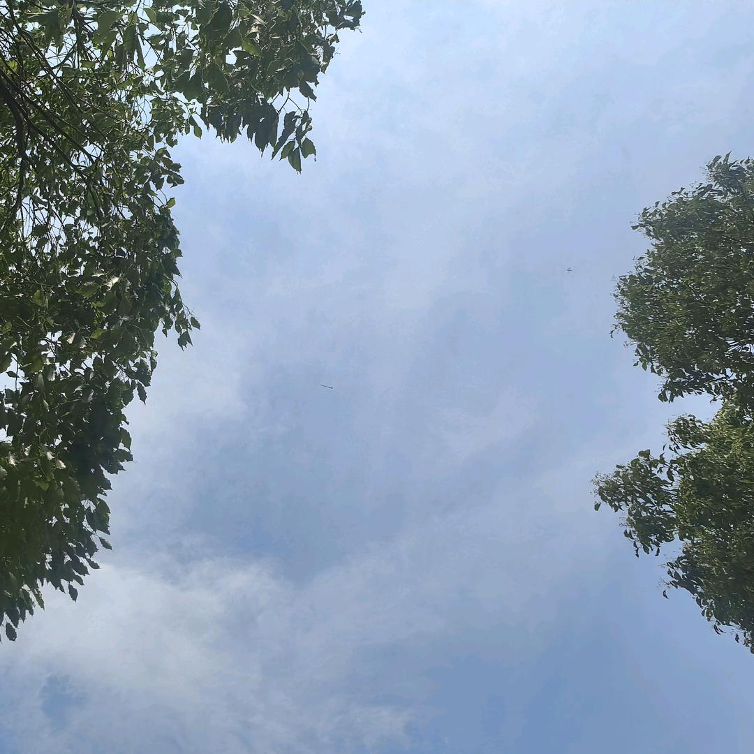 记不住