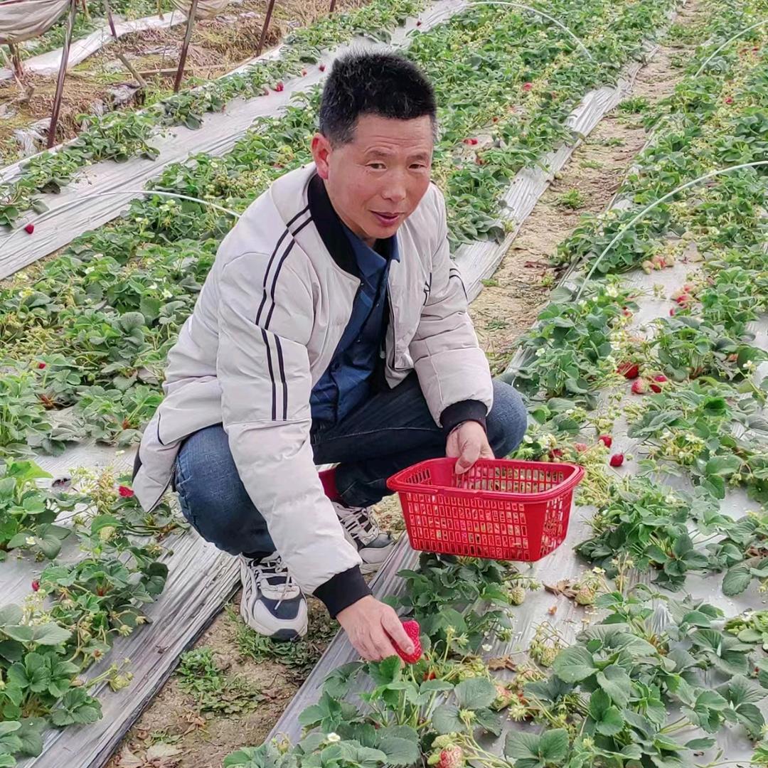 林.丽