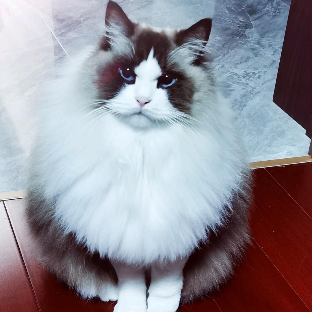 尊伊