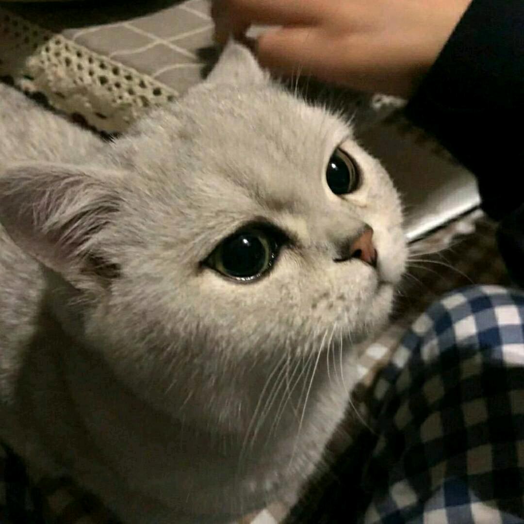 我想静静