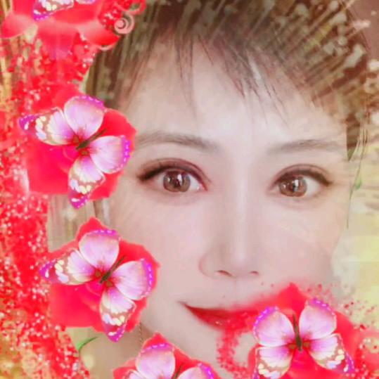 义飞舞