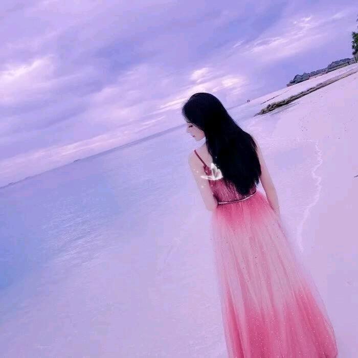 旅游团购龙