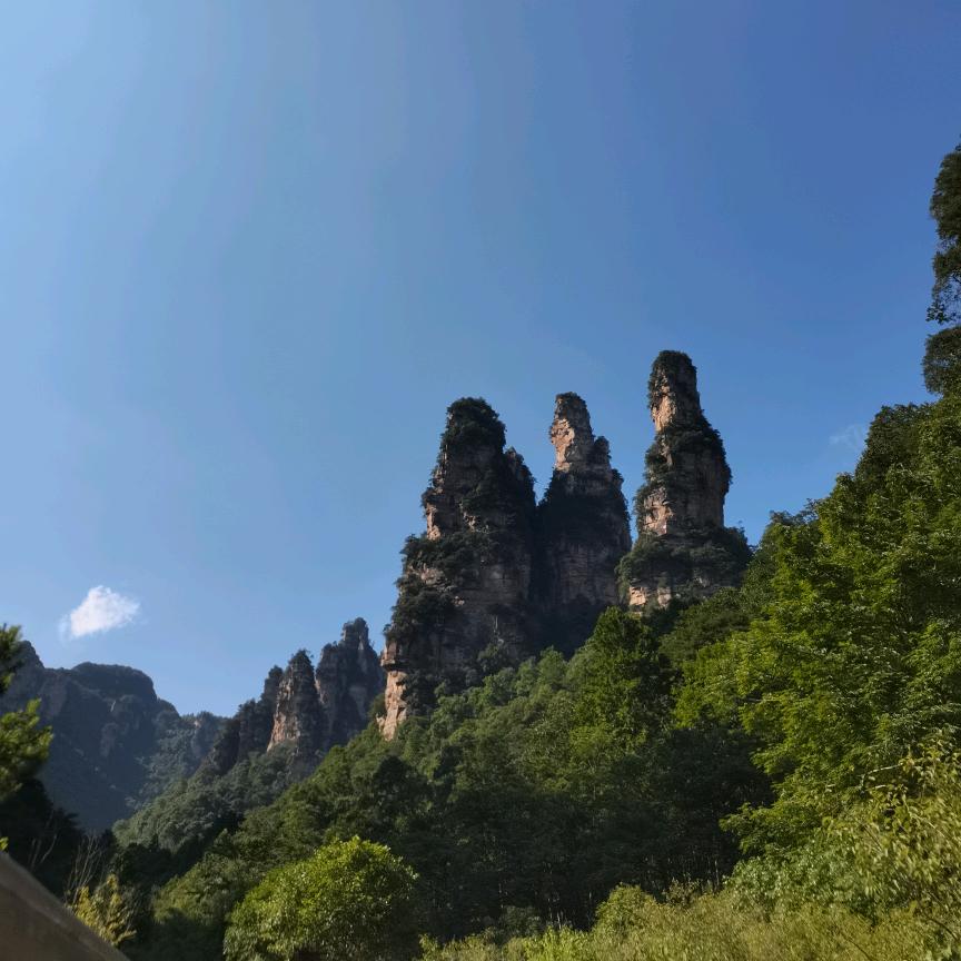 梓秋吖🐲