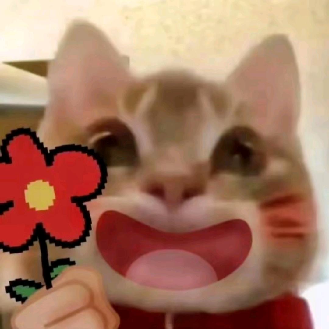 每天开心（三国杀）