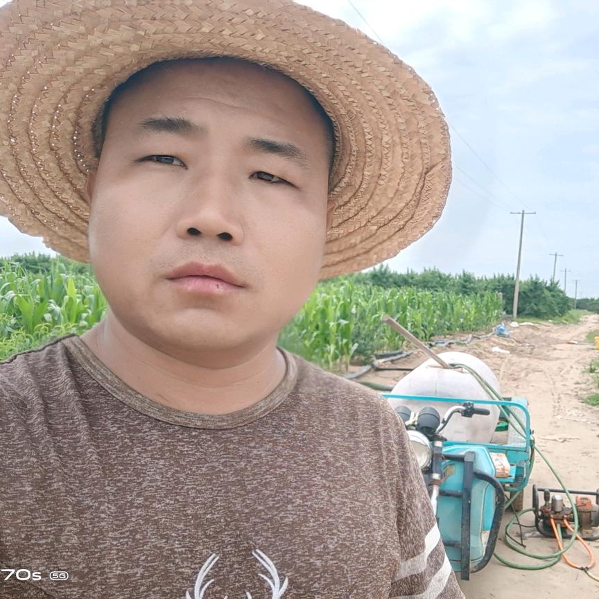 大荔县马坊王拨种植家庭农场