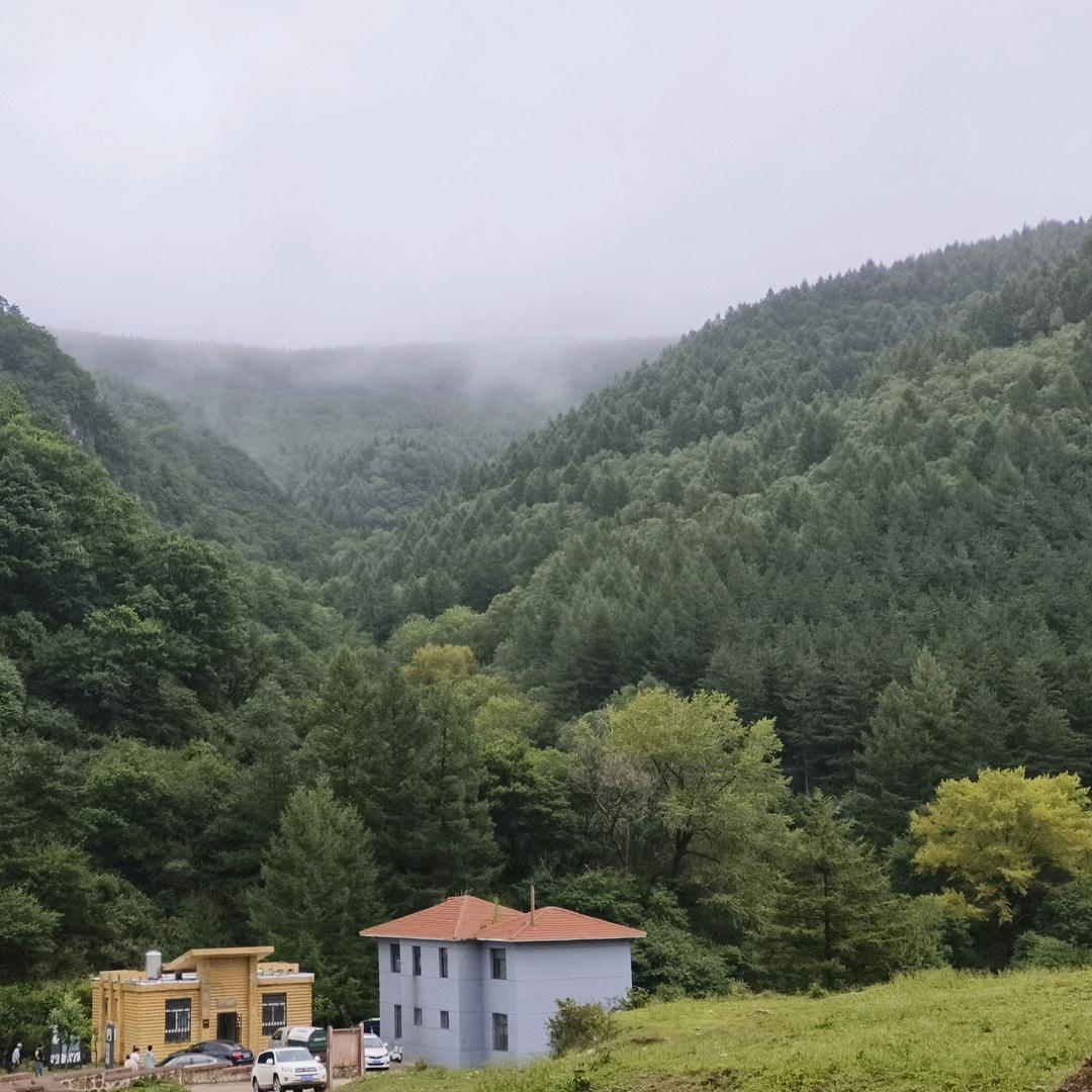 森林