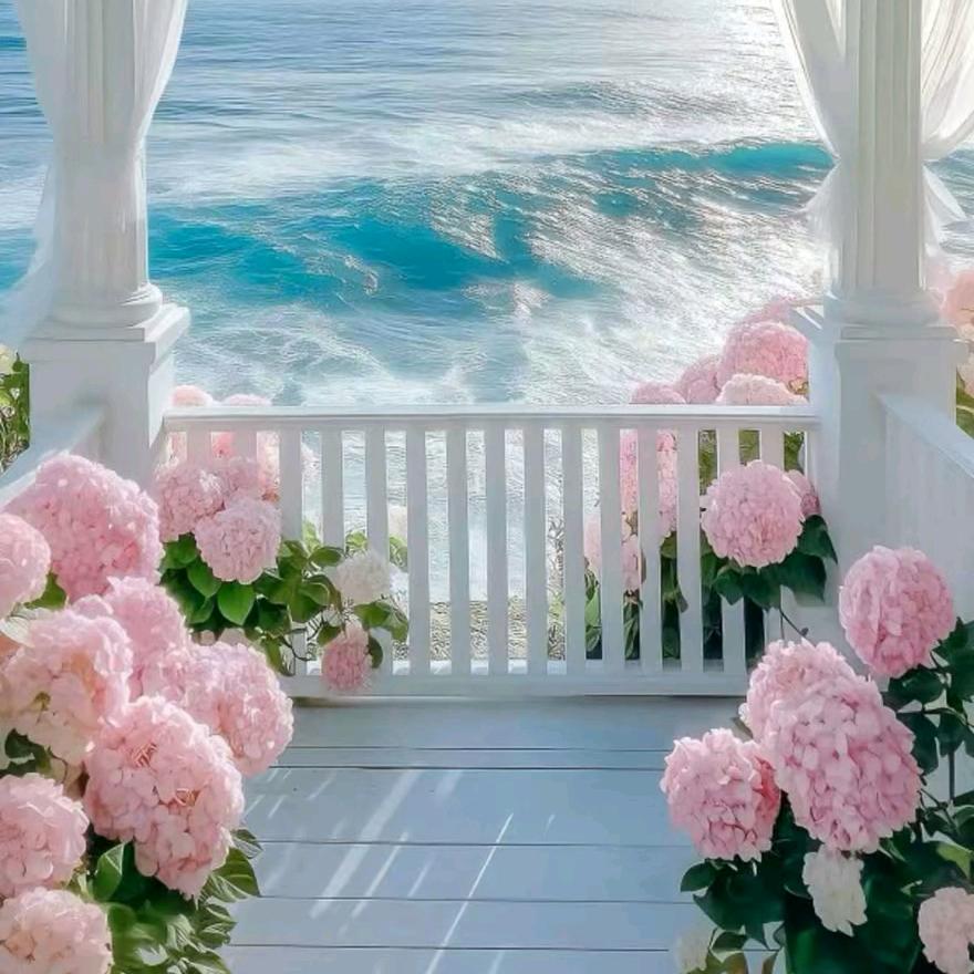 🦋꧁༺๑๑༻꧂🦋